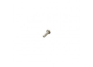 E12584 Non-removable screw 10x One way screw M4x20