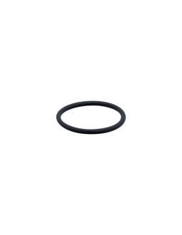 E30123 - efector500-FKM VITON O-RING