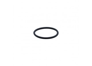 E30123 - efector500-FKM VITON O-RING