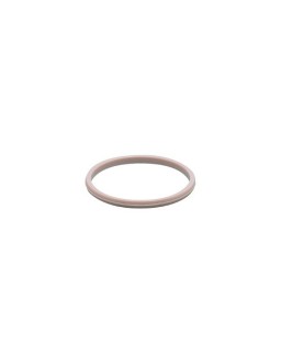 E30124 - efector500-PEEK SEAL