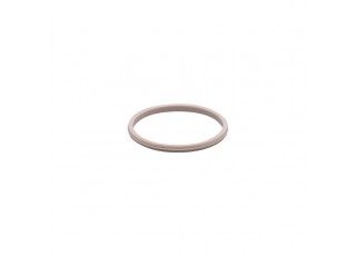 E30124 - efector500-PEEK SEAL