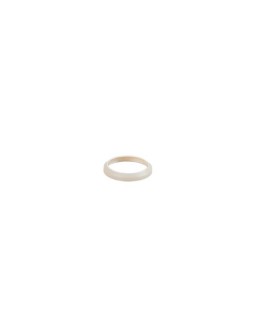 E30459 Gasket PEEK SEAL