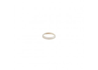E30459 Gasket PEEK SEAL E30459 Gasket PEEK SEAL