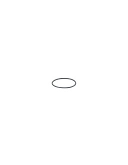 E30512 O-ring O-RG 16,40x1,00/FFKM