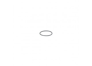 E30512 O-ring O-RG 16,40x1,00/FFKM E30512 O-ring O-RG 16,40x1,00/FFKM