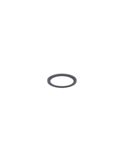 E30513 Gasket SEAL RING FFKM G1/2