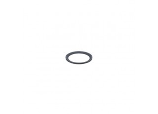 E30513 Gasket SEAL RING FFKM G1/2 E30513 Gasket SEAL RING FFKM G1/2