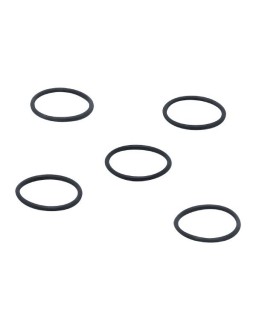 E43326 - efector160-O-RG 18,72x2,62/FKM 5 PIECES