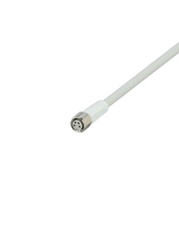 EVF646 Connecting cable with socket ADOGF040VAS0020P04