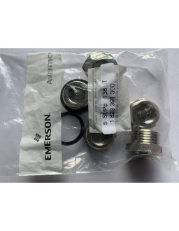 1823391300-InStock Nippel 1823391300 Emerson - Aventics