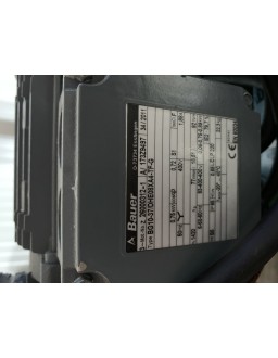 Motor Bauer BG10-37/DHE08XA4-TF-G; Pumpe: Barmag 200cm3-InStock Motor +Reduktor +Pumpe Motor Bauer BG10-37/DHE08XA4-TF-G; Pumpe: Barmag 200cm3 Bauer