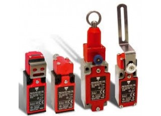 CARLO GAVAZZI Limit switches Malaysia Singapore Thailand Indonesia Philippines Vietnam Europe USA