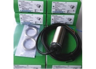 SCHNEIDER PROXIMITY SENSOR PROXIMITY SWITCH Malaysia Thailand Singapore Indonesia Philippines Vietnam Europe USA