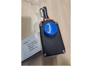ROPE PULL SWITCH ZS71 ZS7110 1SVD Malaysia Thailand Singapore Indonesia Philippines Vietnam Europe USA