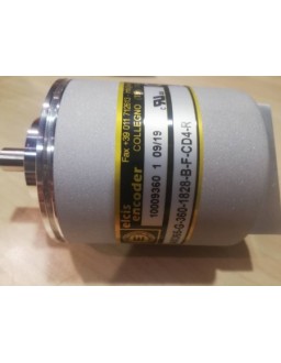 ELCIS AX365-G-360-1828-B-F-CD4-R Malaysia Thailand Singapore Indonesia Philippines Vietnam Europe USA