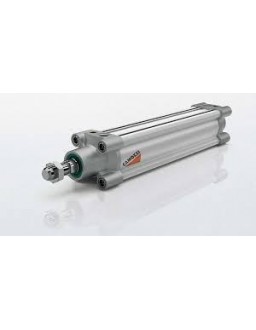 CAMOZZI PNEUMATIC CYLINDER Malaysia Thailand Singapore Indonesia Philippines Vietnam Europe USA