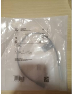 IFM IE5344 Malaysia Thailand Singapore Indonesia Philippines Vietnam Europe  USA