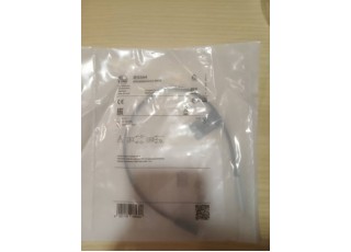 IFM IE5344 Malaysia Thailand Singapore Indonesia Philippines Vietnam Europe  USA