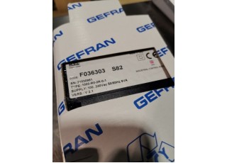 GEFRAN 1000-R0-2R-0-1 F036303 Malaysia Thailand Singapore Indonesia Philippines Vietnam Europe USA