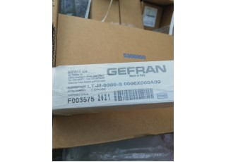 GEFRAN F003575 LT-M-0300-S Malaysia Thailand Singapore Indonesia Philippines Vietnam Europe USA