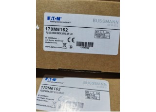 EATON BUSSMANN 170M6162 FUSE Malaysia Thailand Singapore Indonesia Philippines Vietnam Europe USA