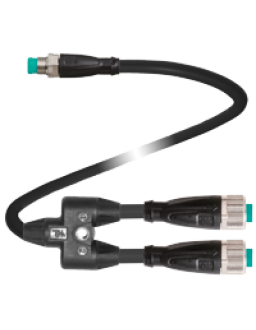 Y connection cable V11-G-0,3M-PUR-U-T-0,3M-V31-GM