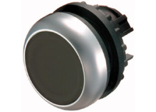216613 Eaton M22-DR-S Button