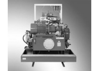 R901312867 Bosch Rexroth ABMAG-250S-3X/A10VSO045DFR1/180M/A Standardaggregat