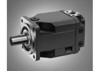 R902235008 Bosch Rexroth A4FM22/32W-NSC02 Axial piston motor