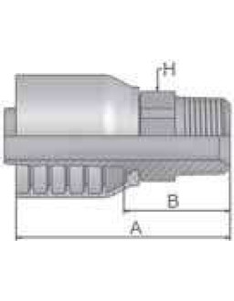 Parker 10171-32-32 Male NPTF Pipe - straight NPT2″