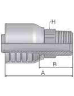 Parker 10178-20-20-SM Male NPTF Pipe - straight NPT1 1/4″