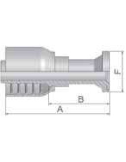 Parker 11573-16-12-1P SAE flange SFL 5000 PSI SFL 1″