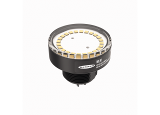 LED Spotlight WL50-3WT