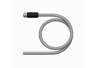 Supply Cable - M12 Power RKP54PLB-0.5/TXG Supply Cable - M12 Power RKP54PLB-0.5/TXG