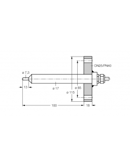 Flow Monitoring FCS-DN25A4-NAEX0/L100