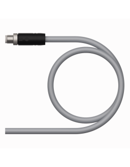 Supply Cable - M12 Power RSP56PLB-5/TXG