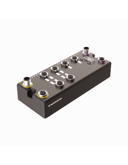 BL compact Fieldbus Station for PROFIBUS-DP BLCDP-6M12LT-2AI-PT-8XSG-PD