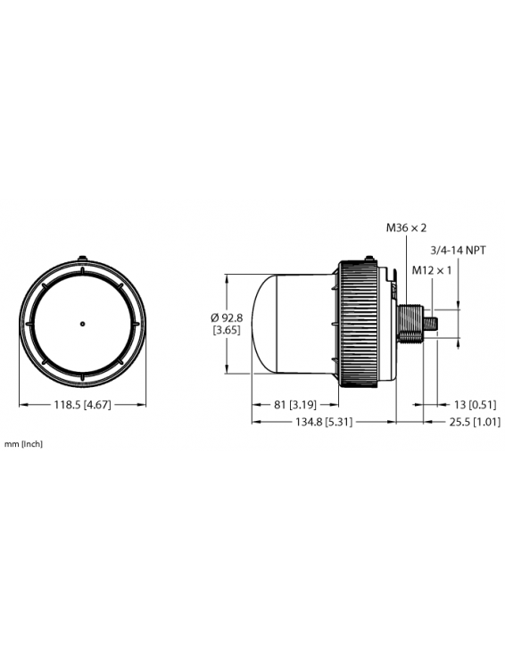 LED Signal Light K100PBLYAQ