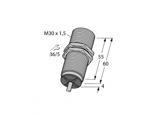 Inductive Sensor BI10-M30-LIU