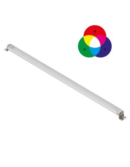 2899550000 WIL-LRGBW-RXSS-XXXX-1040SX-M12X-X0