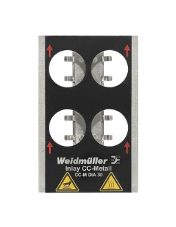 1341100000 INLAY CC-M DIA 30